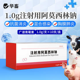 华畜注射阿莫西林钠牛羊猪咳喘腹泻拉稀胸膜肺炎抗菌消炎兽药大全