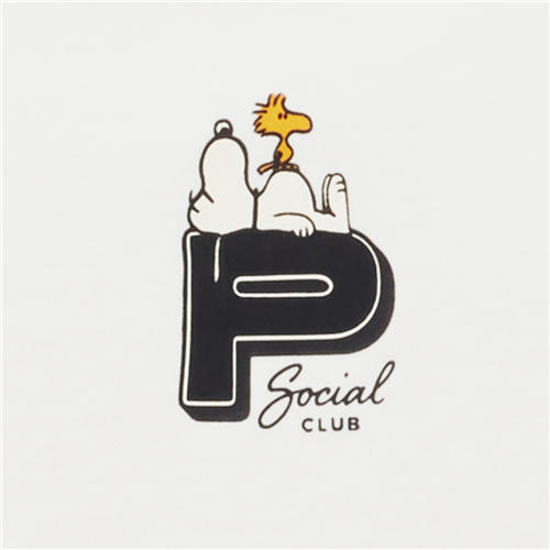 佐丹奴男装【史努比联名款】商场同款双面布舒适短袖T恤01095268 商品图5