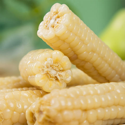 天沐农蜜西双版纳拇指小玉米 1000g/箱 白糯拇指玉米 商品图2