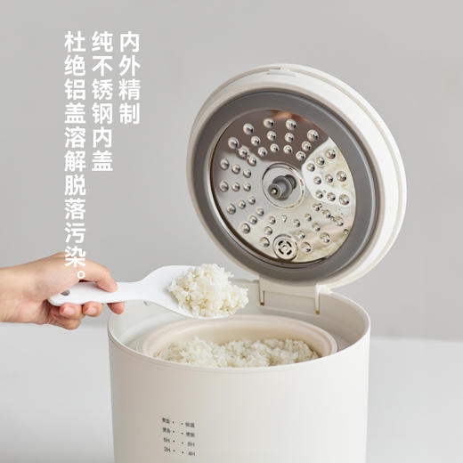 olayks立时畅销日韩迷你电饭煲1到2到3人家用2升电饭锅小型+小型办公室多功能家用烧水壶泡茶花茶煮茶壶套装 商品图4