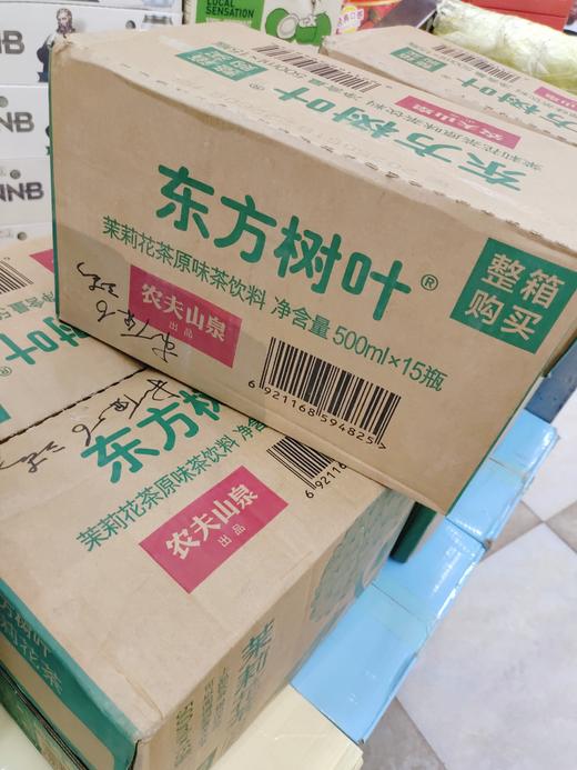 东方树叶茉莉花茶一箱 商品图1