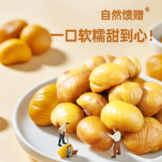 粒上皇 板栗仁45g 商品图1