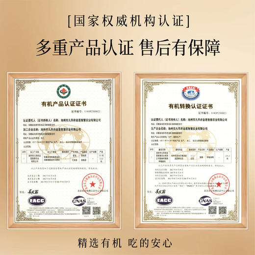 【枣抱黄精】罐装 滋补养生佳品 天然健康零食 商品图3