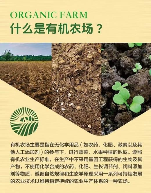 有机蔬菜包卡，顺丰包邮每周配送1次鲜蔬，专人安排发货，农场直供，山泉水灌溉，自然清甜 商品图1