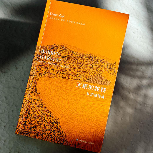 无果的收获 扎伊茲诗选 斯洛文尼亚文学丛书 六点图书 商品图4