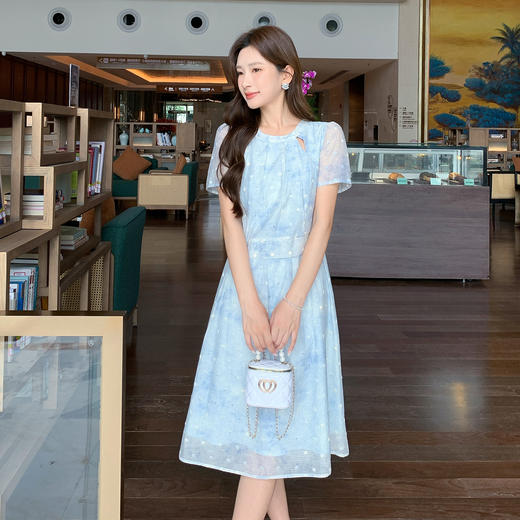 奢姿大码女装2025夏季胖妹妹新款格子绣圆点轻奢休闲圆领连衣裙9952822301 商品图4