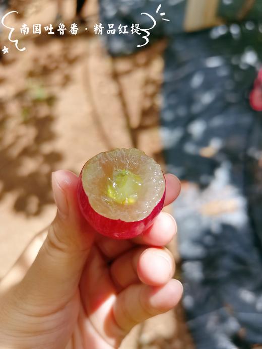 南国吐鲁番精品红提 3斤精品装(2~3串)单果6~8g 商品图3