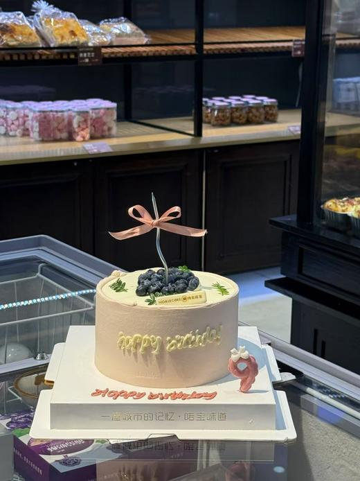 可爱蓝莓 商品图0