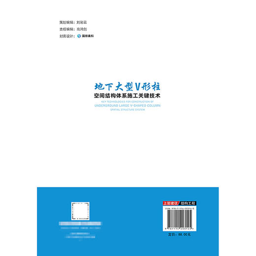 地下大型V形柱空间结构体系施工关键技术 商品图1