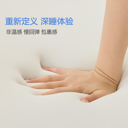 本屋创品A3深睡鲸垫记忆棉床垫软垫家用海绵垫子单人榻榻米租房宿舍学生床褥 商品图2