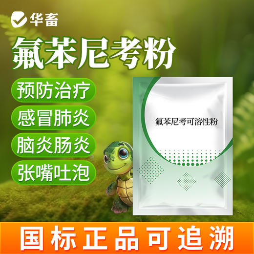 华畜乌龟药氟苯尼考治疗草龟巴西感冒肺炎鳄龟宠物龟肠胃炎脑膜炎 商品图0