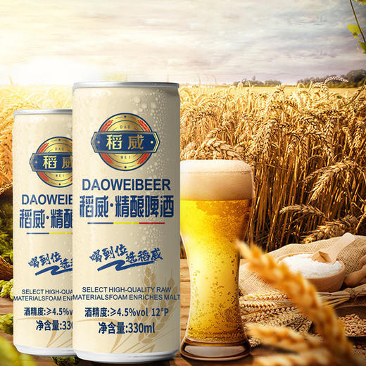 稻威精酿黄啤12度330ml罐装品牌直营批发拉格工艺优质进口原料 商品图4