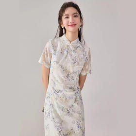 「高货sh」全新升级【铂金会员275/天猫369/差价94】(45854)洛诗琳新中式刺绣印花连衣裙2025夏季改良旗袍国风碎花裙