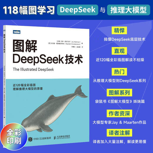 图解DeepSeek技术 deepseek教程DeepSeek项目原理开发大模型应用开发agent智能体RAG 商品图0