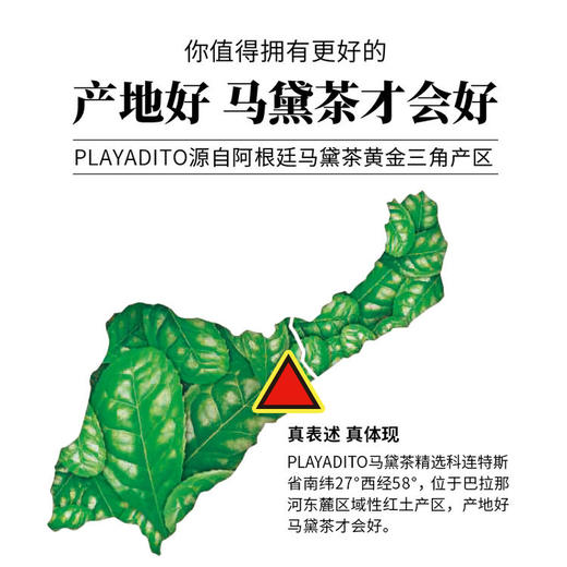 始于1926年PLAYADITO帕拉蒂托 阿根廷原装进口马黛茶 商品图3