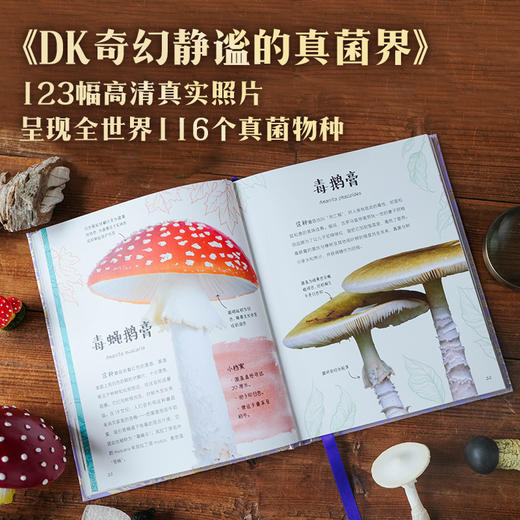 DK珍奇博物馆·宝石初鉴礼盒 商品图2