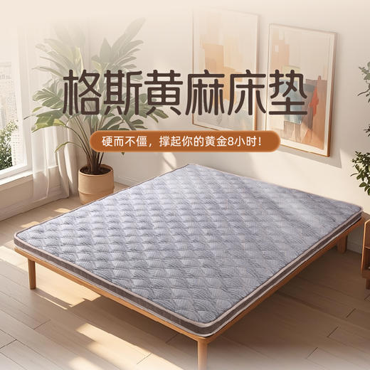 雅芳婷格斯黄麻护脊床垫家用卧室抑菌防螨床垫租房专用榻榻米床垫 商品图0