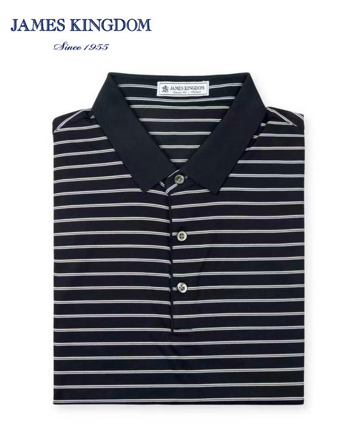 占姆士男士含桑蚕丝条纹POLO衫新    上青&绿色 商品图3