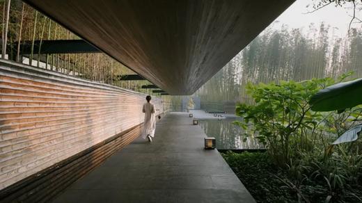 暑期特惠❗️全球十大必睡民宿🎐【坐忘森林·青城山/雅安云峰寺2店通用】周末不加价
🏞️私人管家服务，打卡隐奢假期！ 商品图3