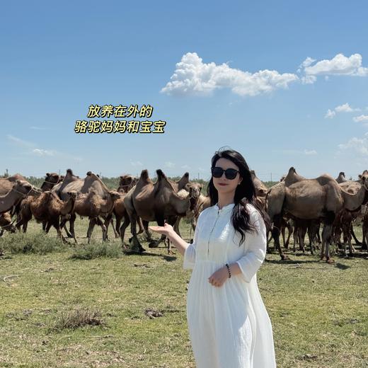 【新增散养有机驼奶粉  】爱氏双有机纯骆驼奶粉、冻干技术营养保留更全、纯驼双驼峰基因，沙漠软黄金纯驼乳粉 商品图11