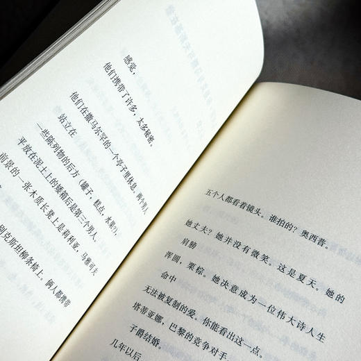 无一缺损 科茨贝克诗选 斯洛文尼亚文学丛书 六点图书 商品图10