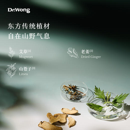 「艾草与姜 」身体按摩油 商品图1