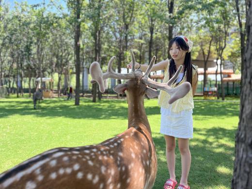 济南鲜花港 - 鹿园+奇趣萌宠乐园！单人29.9，双人49.9元 商品图6