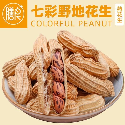 膳良果七彩花生 云南西双版纳特产带壳原味炒熟500克袋装 商品图1