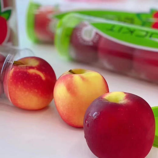 【高端新西兰火箭筒苹果】三年结一果，全球珍贵的苹果，口感超棒！珍惜圣果，口感一股淡淡的樱桃味 商品图5