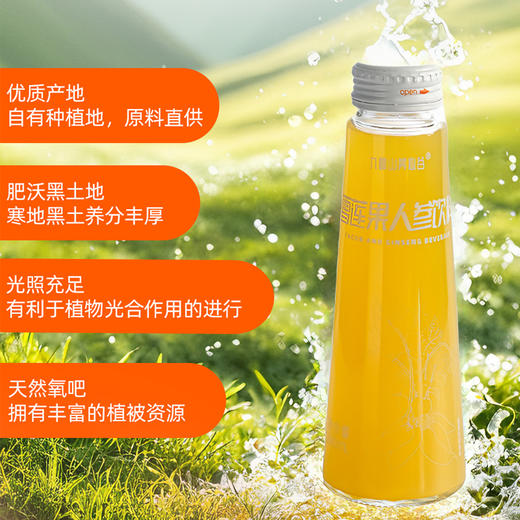 【顺丰包邮】九峰山养心谷雪莲果人参饮料大餐救星果汁果饮健康送礼佳品 商品图3