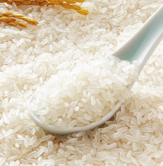 乔府大院红金系列五常大米5kg 商品图3