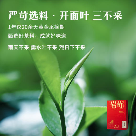 八马茶业 | 岩苛1000大红袍礼盒（轻享版)160g 商品图3