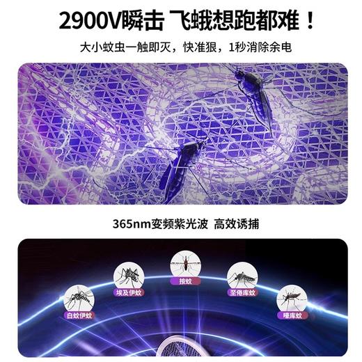 奥克斯（AUX）电蚊拍  充电式灭蚊灯 紫光诱蚊灭蚊驱蚊神器 【灯拍两用】6颗紫光珠+智能数显+大网面 商品图1