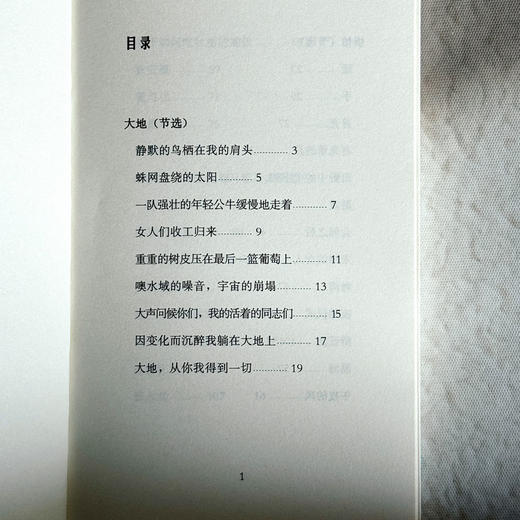 无一缺损 科茨贝克诗选 斯洛文尼亚文学丛书 六点图书 商品图6