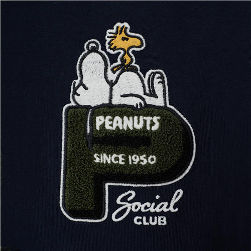 佐丹奴男装【史努比联名款】商场同款全棉休闲T恤01095267 商品图4