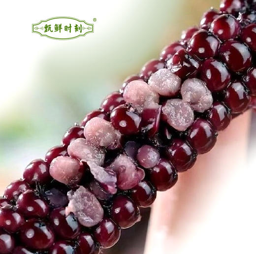 【拇指黑糯玉米】颗粒饱满 软糯Q弹 有着糯玉米的软糯和甜玉米的香甜 皮薄不塞牙 香气扑鼻 2种规格任选 商品图2