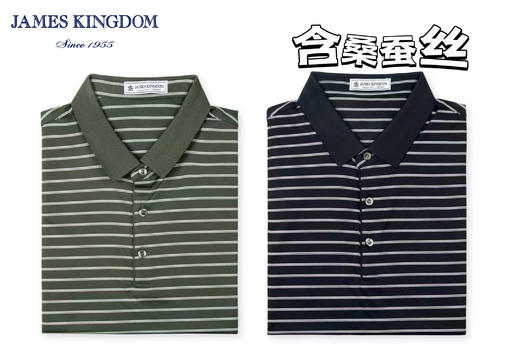 占姆士男士含桑蚕丝条纹POLO衫新    上青&绿色 商品图0