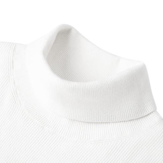 GXG男装  多色毛衫保暖高领线衫亲肤毛衫冬季热卖绵羊毛毛衫GEX11028694 商品图5