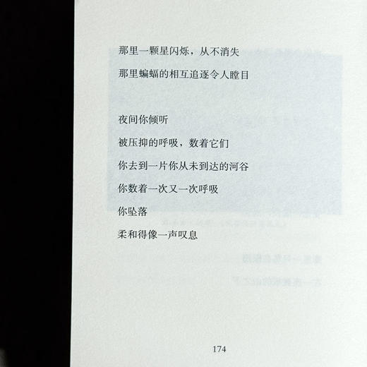 无果的收获 扎伊茲诗选 斯洛文尼亚文学丛书 六点图书 商品图14