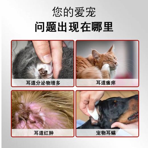耳肤灵法国威隆宠物耳油耳螨滴耳液宠物猫咪耳疾10g 商品图1