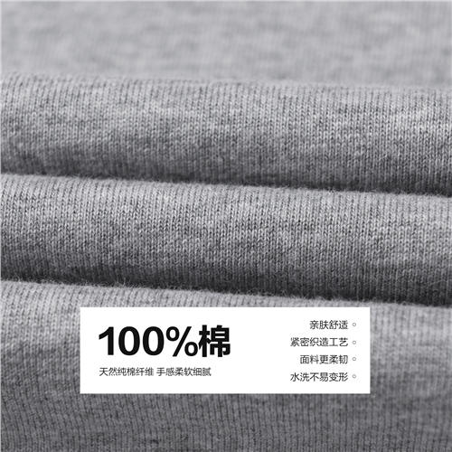 佐丹奴男装【史努比联名款】商场同款全棉休闲T恤01095267 商品图3