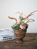 手工盆根雕多肉盆栽 商品缩略图0