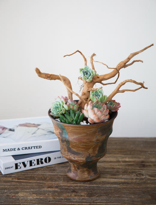 手工盆根雕多肉盆栽 商品图0