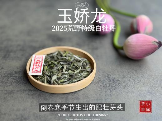 【2025春茶】2025荒野牡丹王，生在了倒春寒的季节，清润，柔甜，如浆似汤，野性难驯（50克） 商品图1