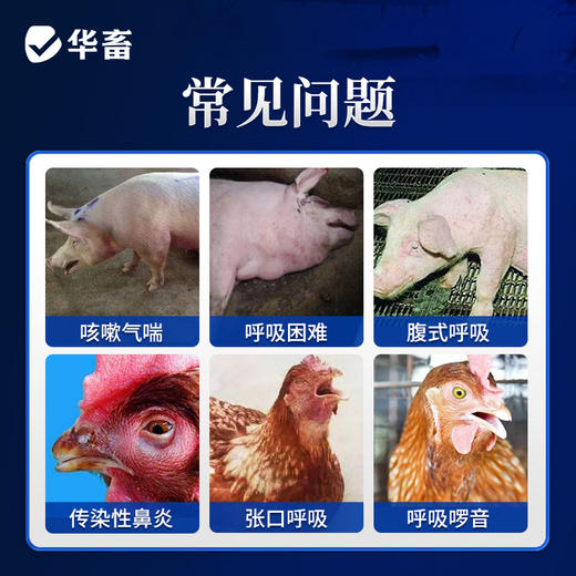 华畜45%延胡索酸泰妙菌素可溶性粉 咳嗽气喘 呼吸困难 纯化合成工艺 进口溶剂 吸收更好 商品图1