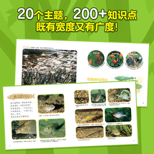 自然原来这么有趣 动物篇(全10册) 商品图2