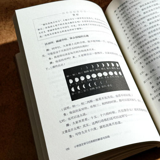 小学语文学习任务群的解读与实践 大夏书系 王林波 课堂实践 商品图11