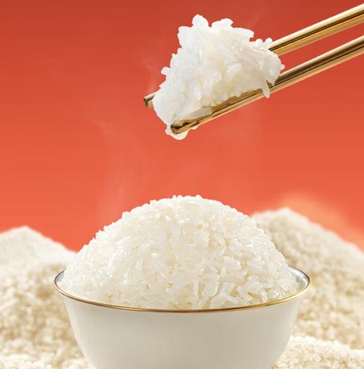 乔府大院红金系列五常大米5kg 商品图4
