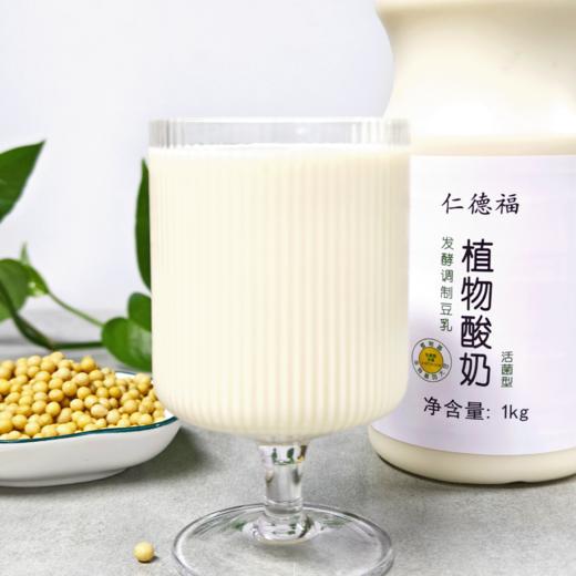 植物酸奶 非转基因大豆发酵原味无蔗糖家庭装1kg/桶【顺丰包邮】 商品图3