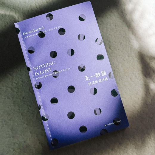 无一缺损 科茨贝克诗选 斯洛文尼亚文学丛书 六点图书 商品图4